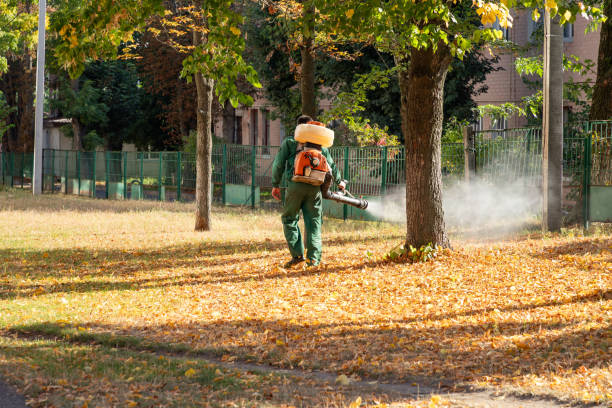 Best Rat Extermination Near Me  in Red Lake Falls, MN