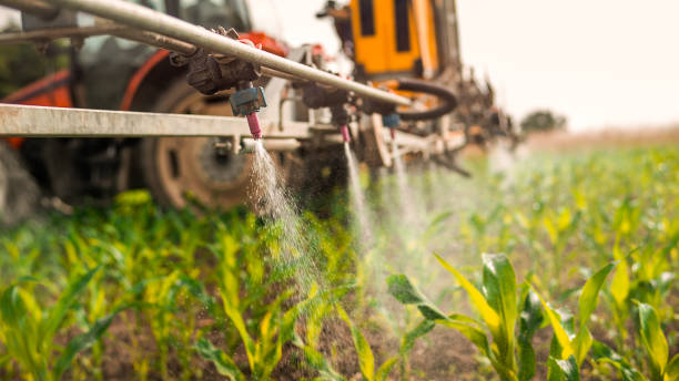 Best Best Pest Control Companies  in Red Lake Falls, MN